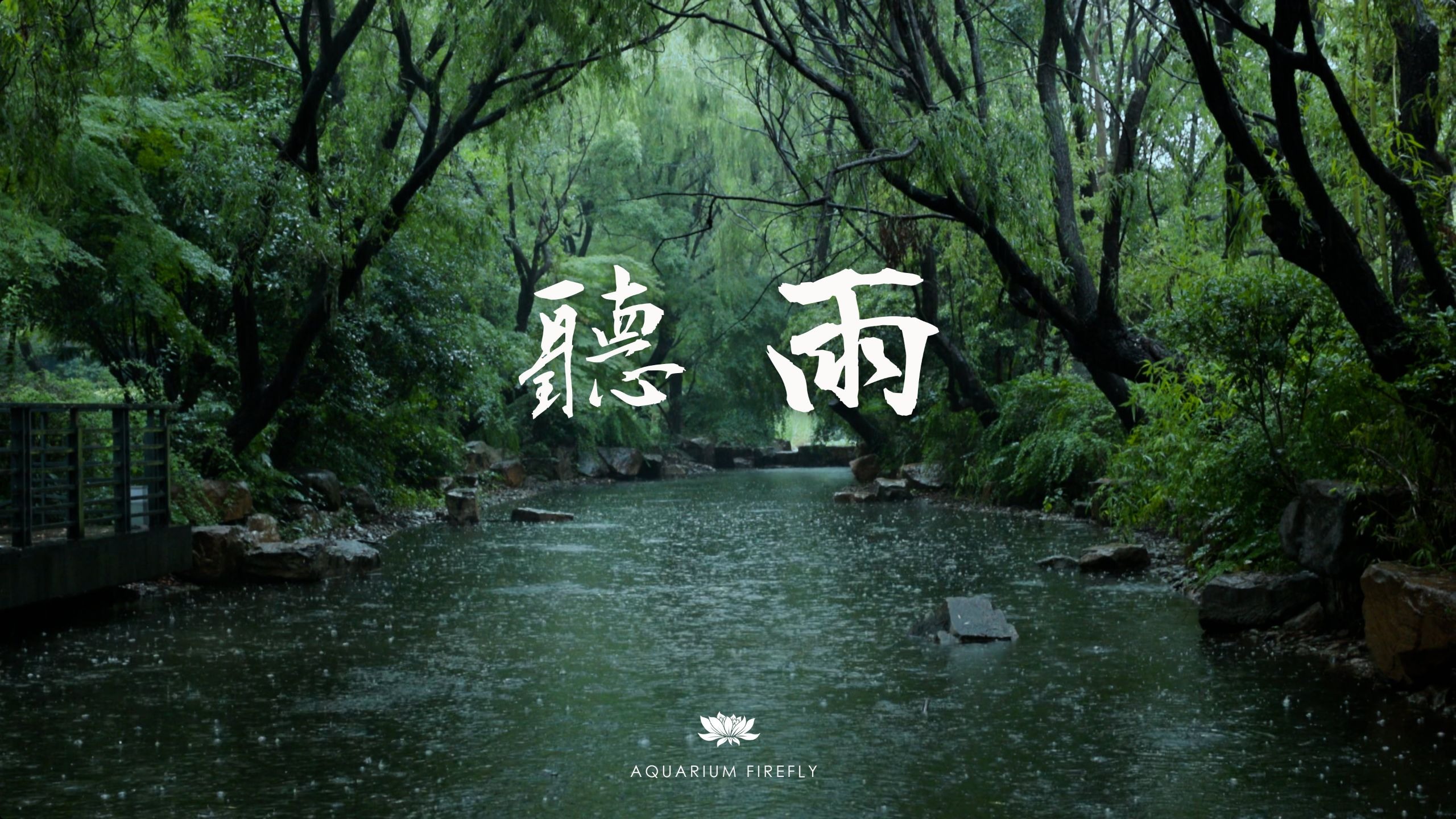 听雨