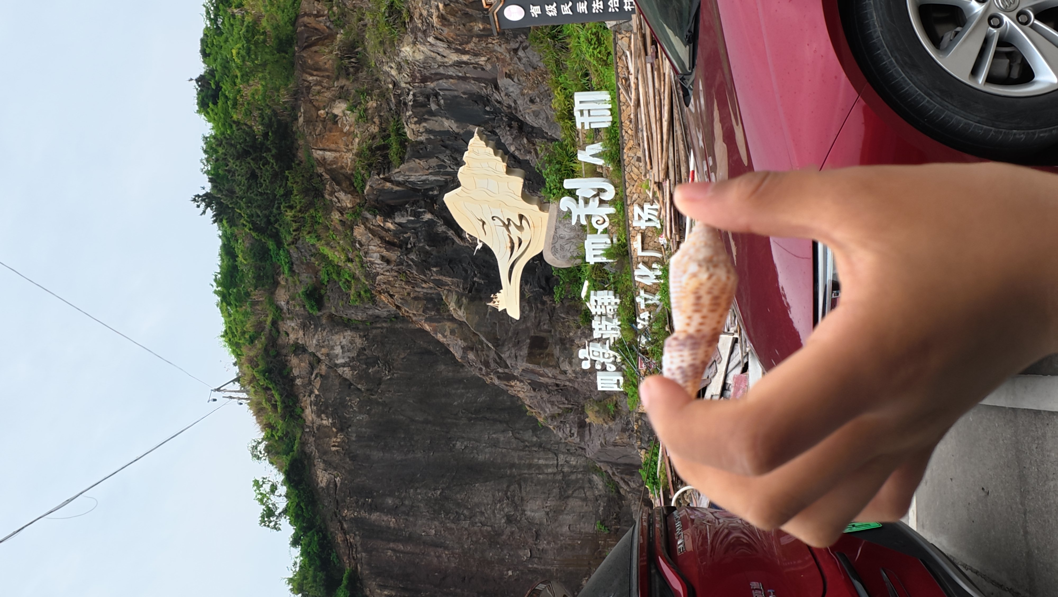 绿茶